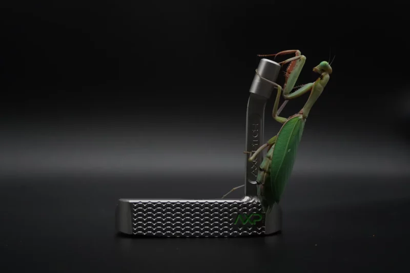 Mantis - Image 2
